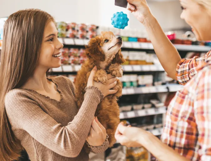 Girl holding dog and dog trying to play with toy